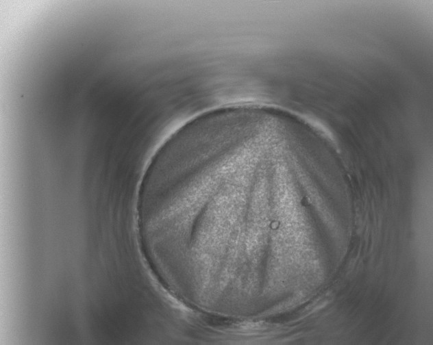 X0000066961279200604071955