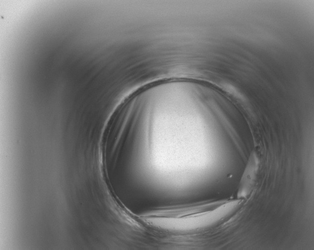 X0000066961280200604071955