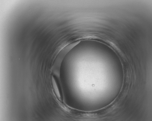 X0000066961281200604071955