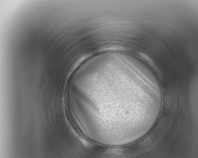 X0000066961282200604071955