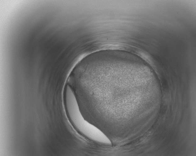 X0000066961283200604071955