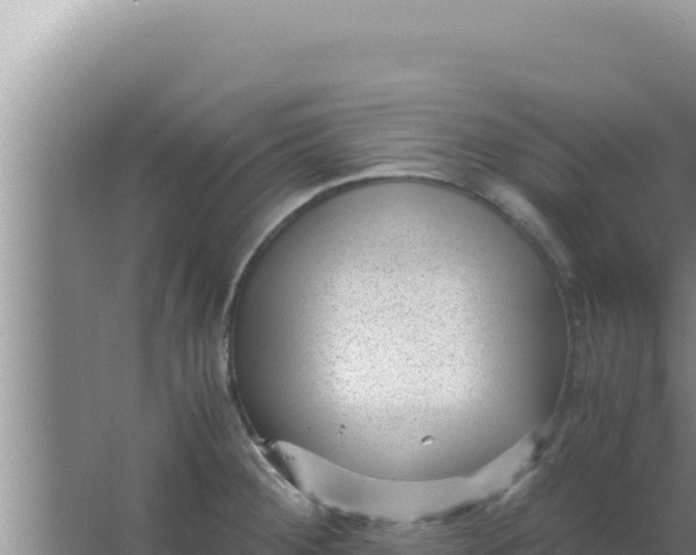 X0000066961284200604071955