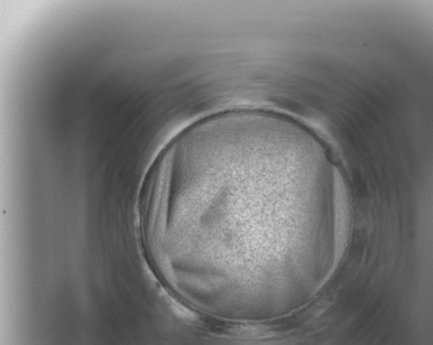 X0000066961287200604071955