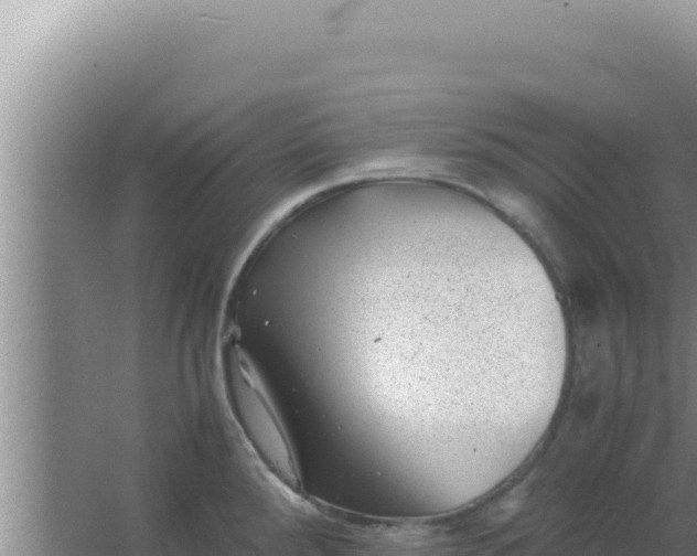 X0000066961288200604071955