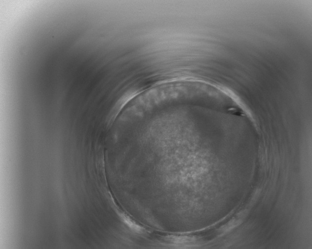 X0000066961289200604071955