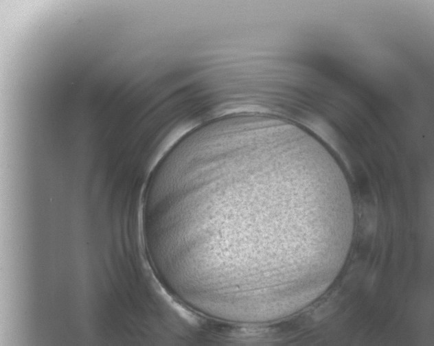 X0000066961290200604071955