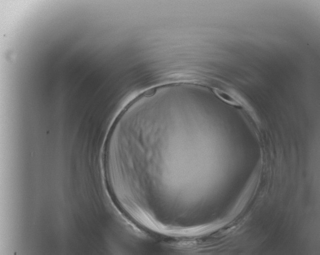 X0000066961291200604071955