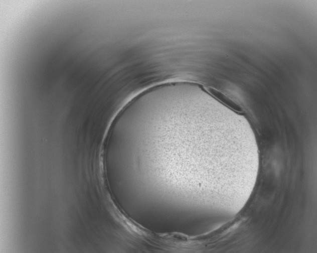 X0000066961292200604071954