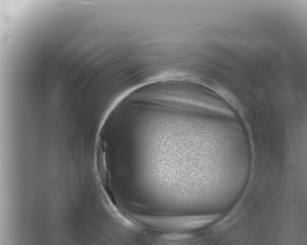 X0000066961296200604071954