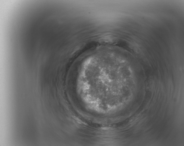 X0000066961297200604071954