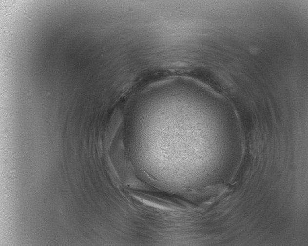 X0000066961298200604071954