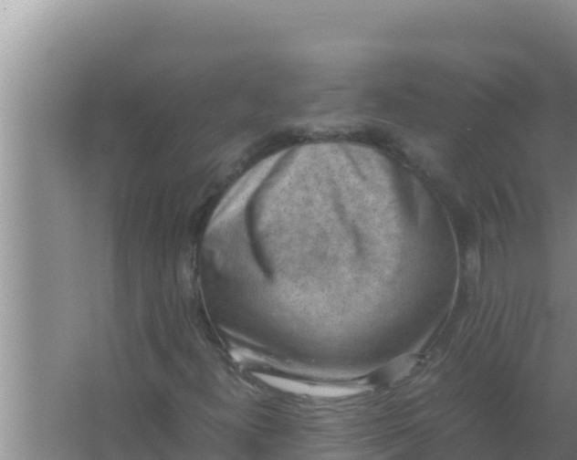 X0000066961300200604071954