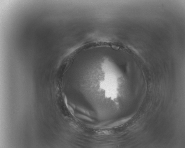 X0000066961303200604071954