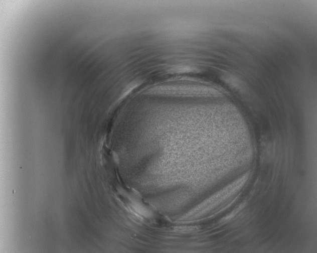 X0000066961305200604071954