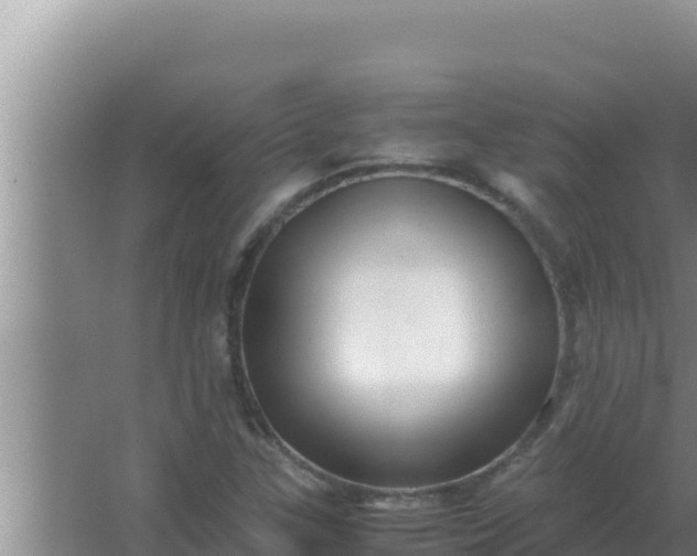 X0000066961307200604071954