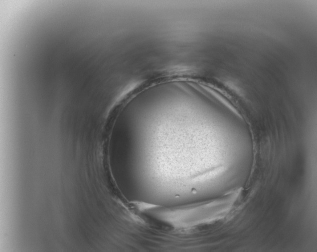 X0000066961309200604071954