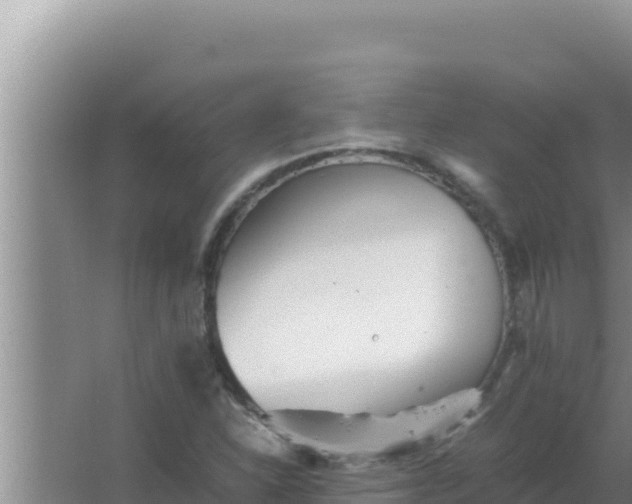 X0000066961310200604071954