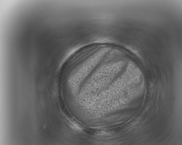 X0000066961311200604071954