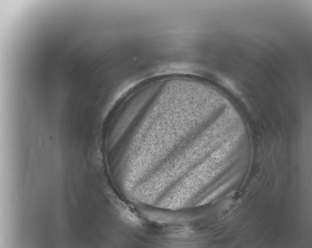 X0000066961312200604071954