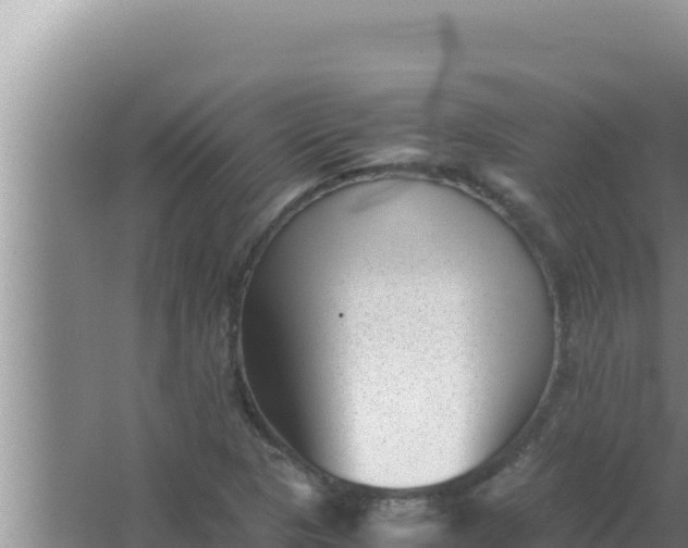 X0000066961313200604071954