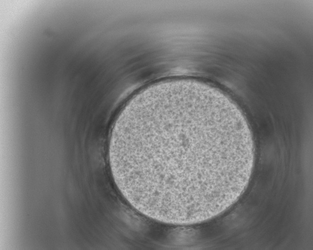 X0000066961314200604071954