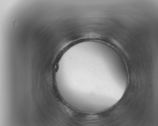 X0000066961315200604071954