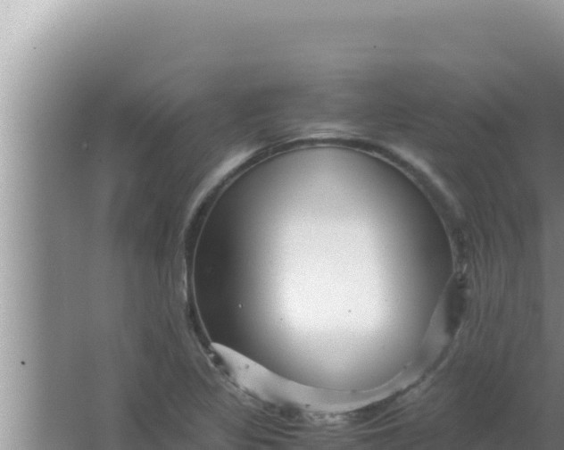 X0000066961317200604071954