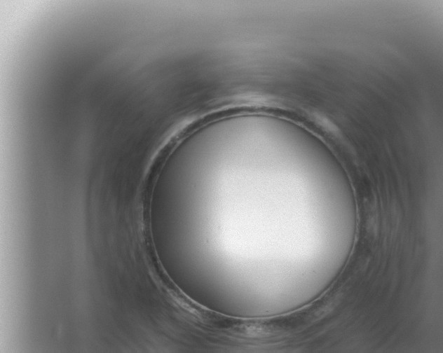 X0000066961318200604071954