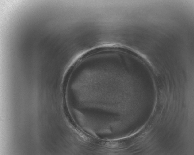 X0000066961319200604071954