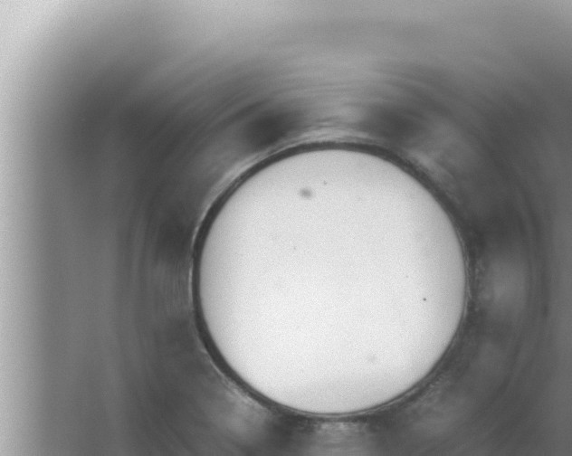 X0000066961322200604071954