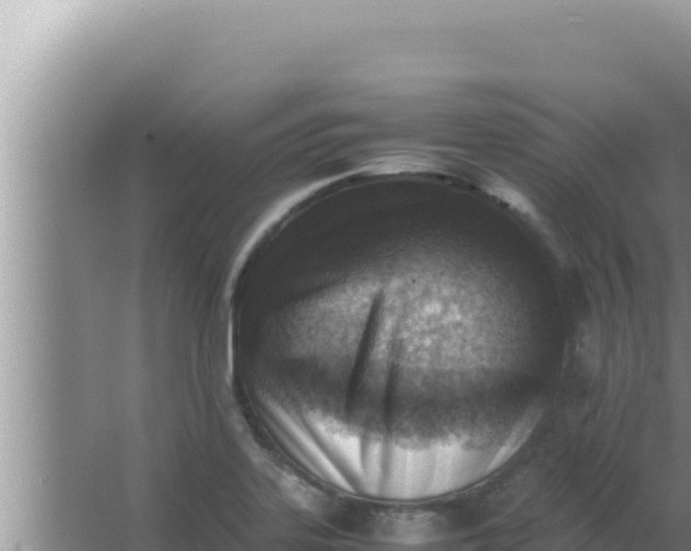 X0000066961323200604071954