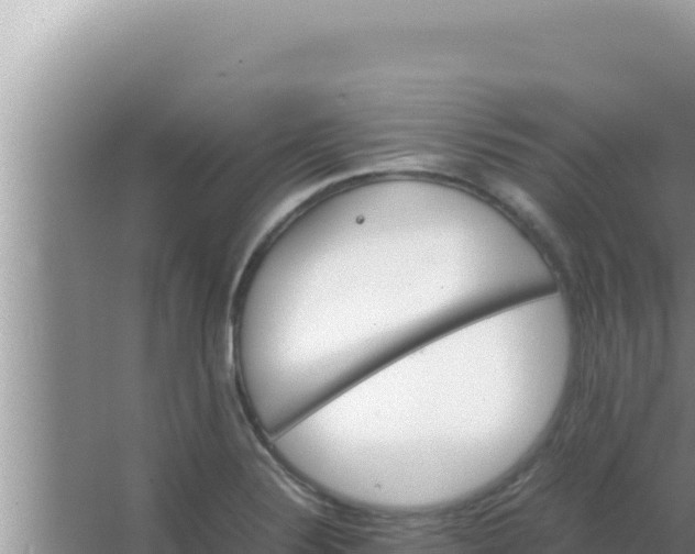 X0000066961324200604071954