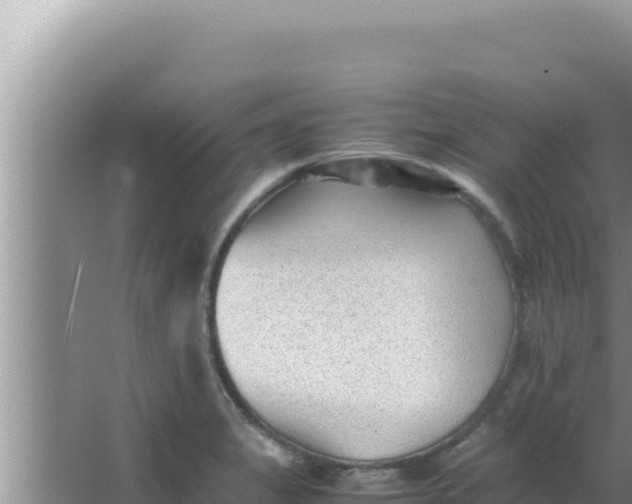 X0000066961325200604071954