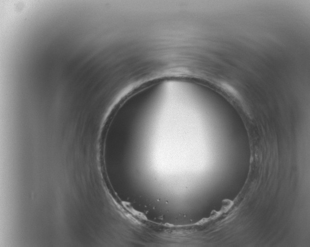 X0000066961326200604071954