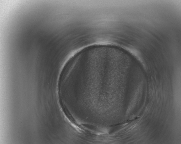 X0000066961327200604071954