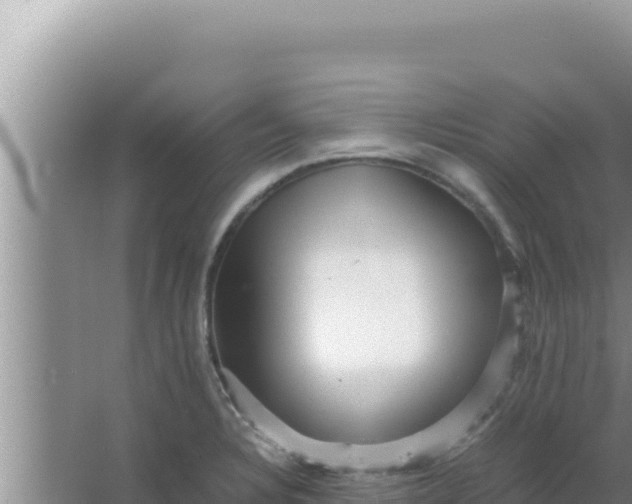 X0000066961328200604071954