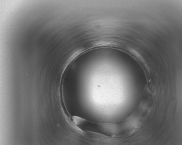 X0000066961330200604071954