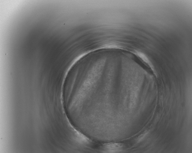 X0000066961331200604071954