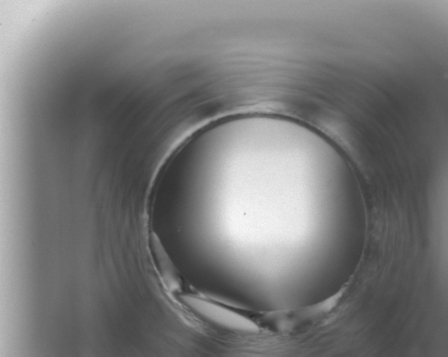 X0000066961332200604071954