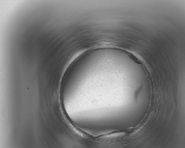 X0000066961333200604071954