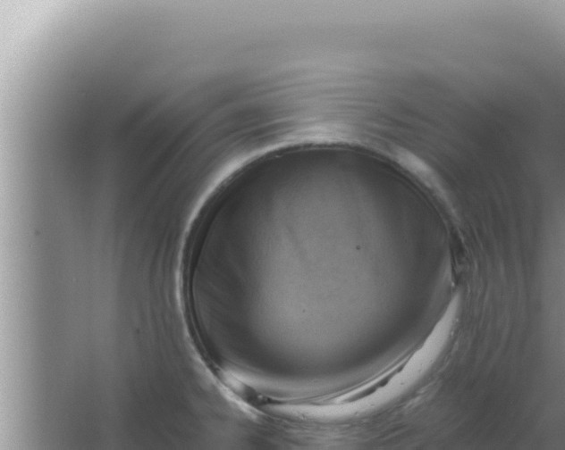 X0000066961334200604071954