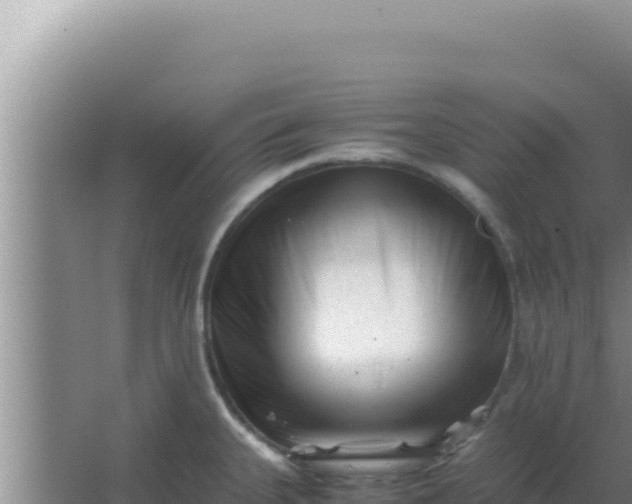 X0000066961335200604071954