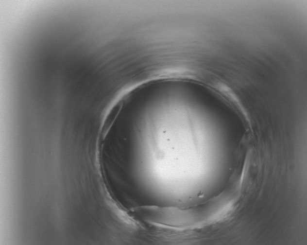 X0000066961336200604071954