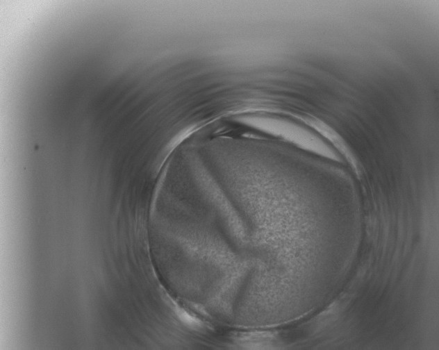 X0000066961337200604071954