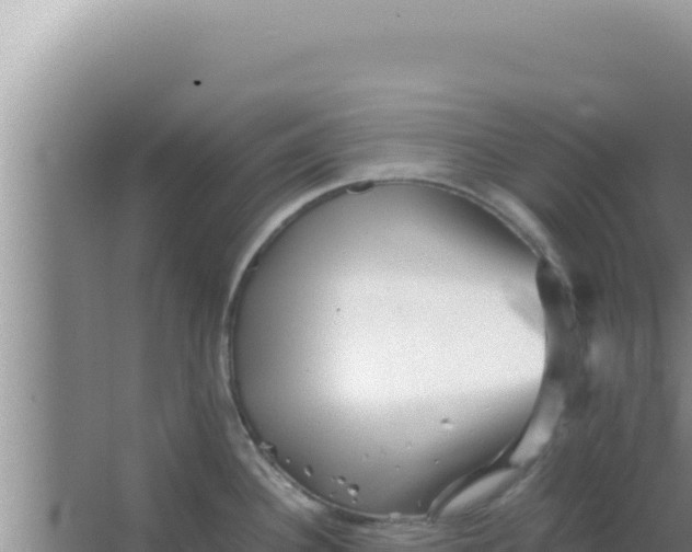 X0000066961340200604071954