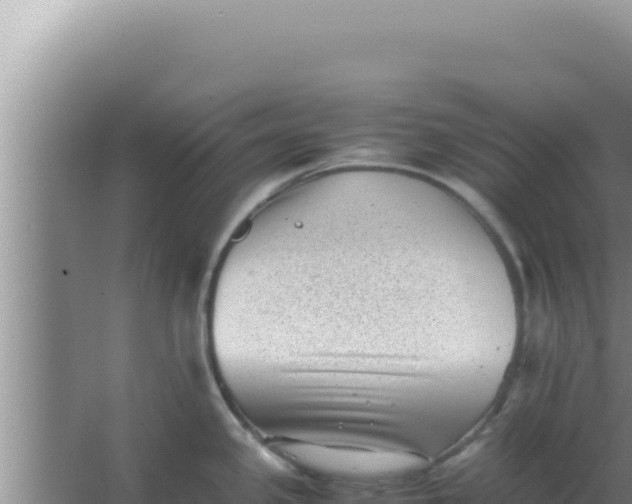 X0000066961341200604071954