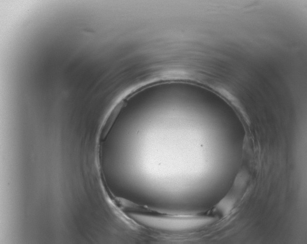 X0000066961342200604071954