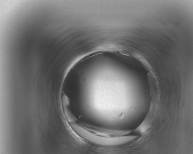 X0000066961344200604071954