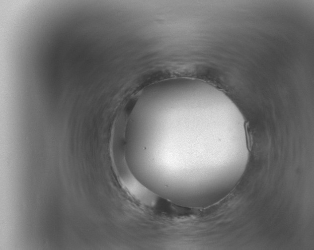 X0000066961345200604071954