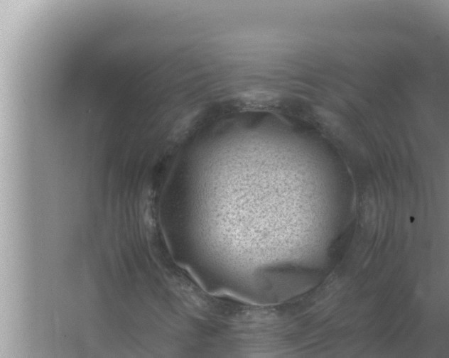 X0000066961346200604071954